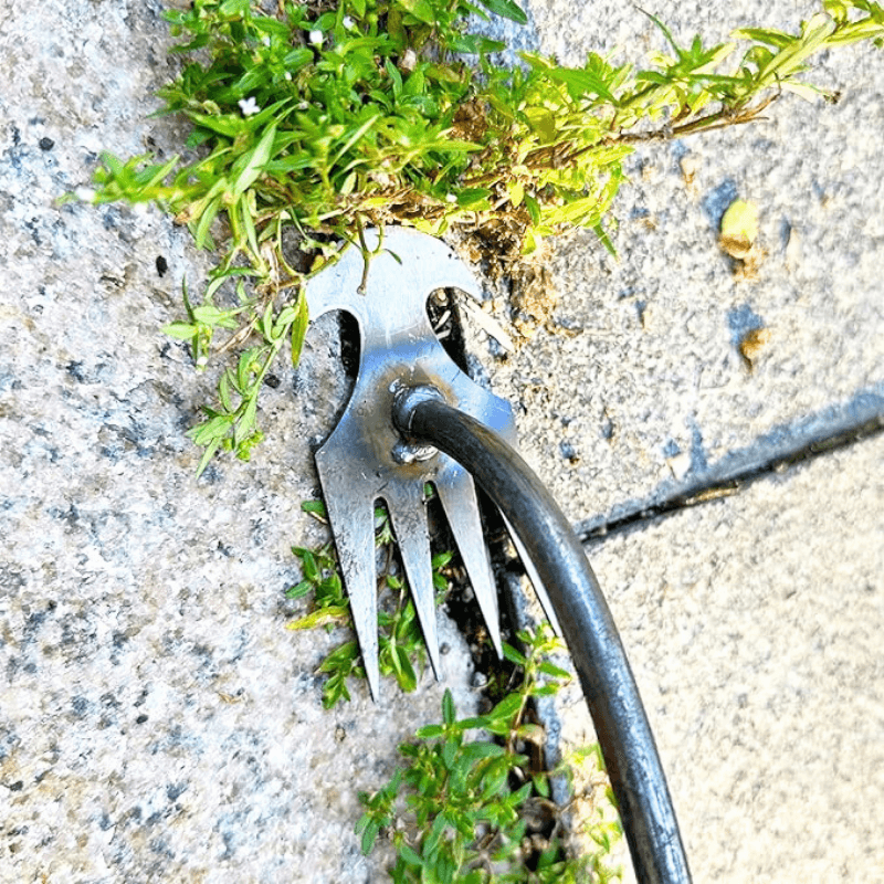 TasmanLush™ Stainless Steel Weed Remover Rake