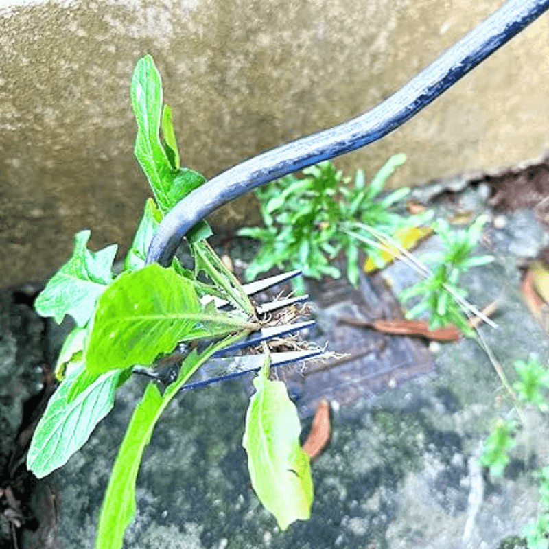 TasmanLush™ Stainless Steel Weed Remover Rake